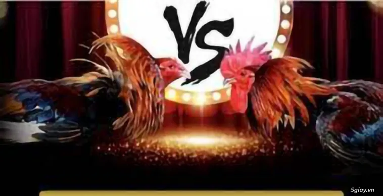 Hé Lộ Đấu Trường Đá Gà V7Bet Siêu Kinh Điển Cháy Hết Mình Cùng Kê Thủ