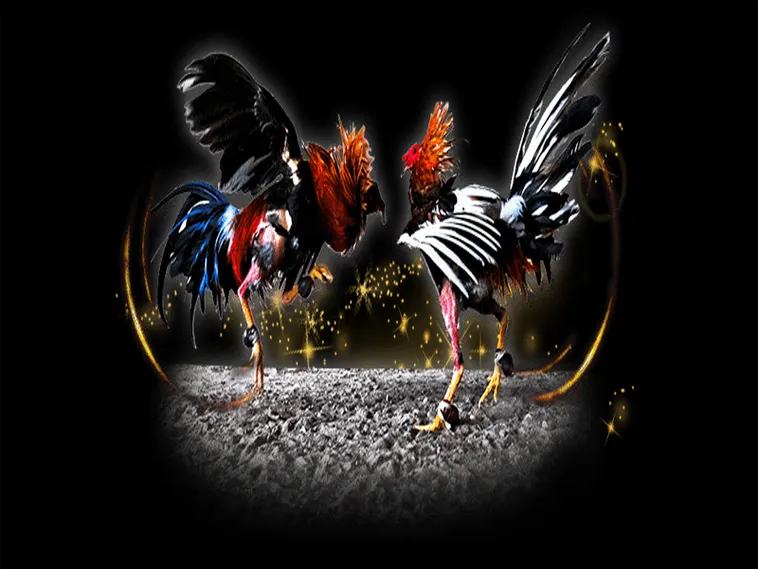 Nắm Trọn Cách Chơi Đá Gà Sabong Tại V7Bet Từ A Đến Z Cho Người Mới 1 Nắm Trọn Cách Chơi Đá Gà Sabong Tại V7Bet Từ A Đến Z Cho Người Mới